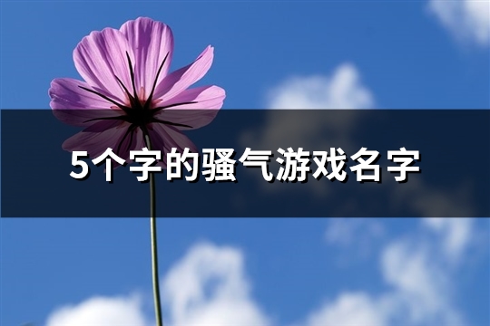 游戏名字男骚气有哪些